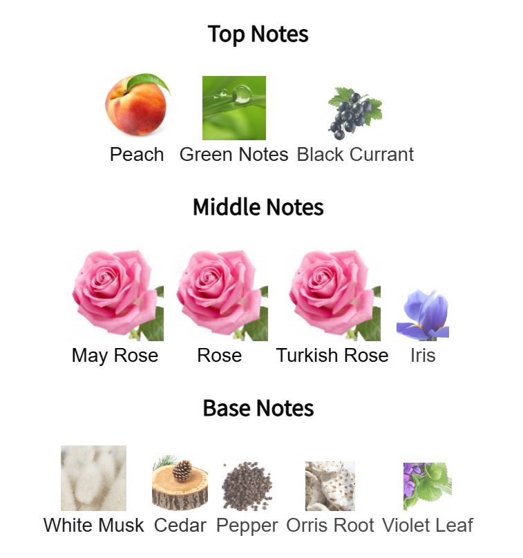 Pink Potion-Inspired by Roses De Vents (Unisex)
