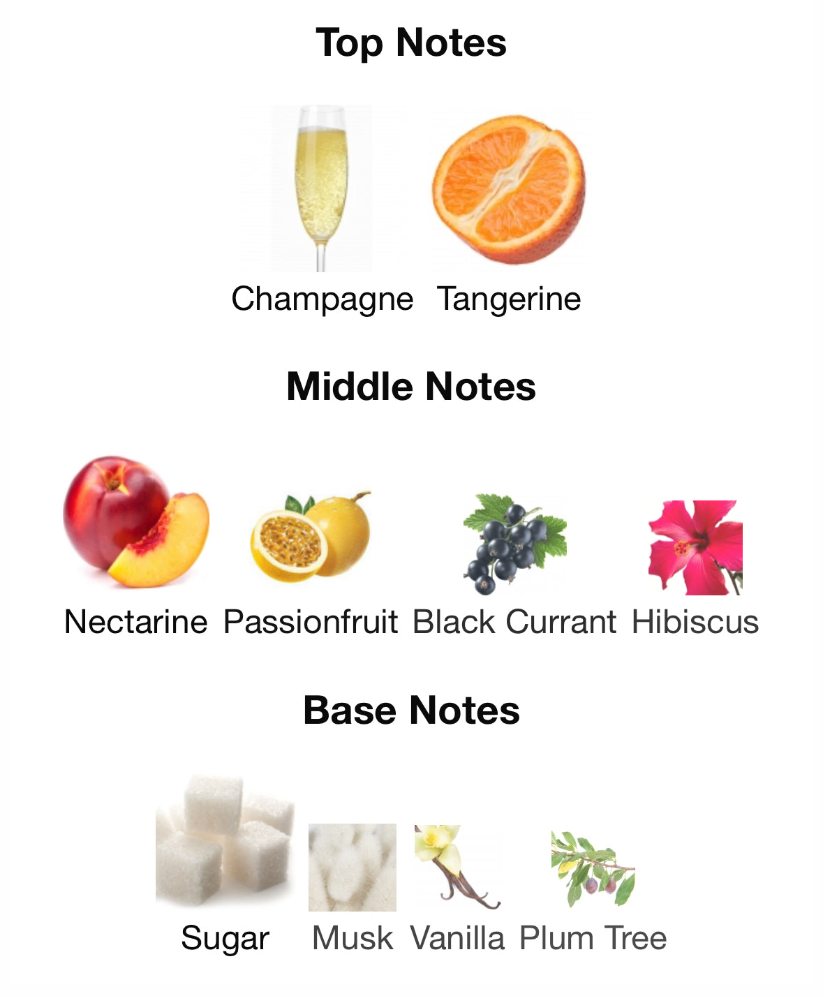 Champagne Toast - Orignals